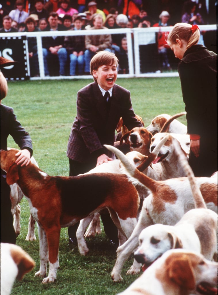 Prince William played with the hound dogs at the Badminton Horse Trials in England in May 1991.