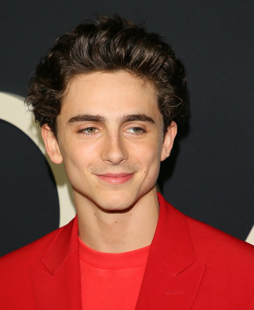 Hot Timothée Chalamet Pictures