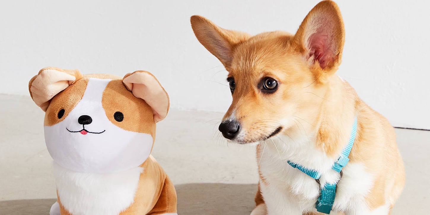 Urban outfitters corgi slippers cheap