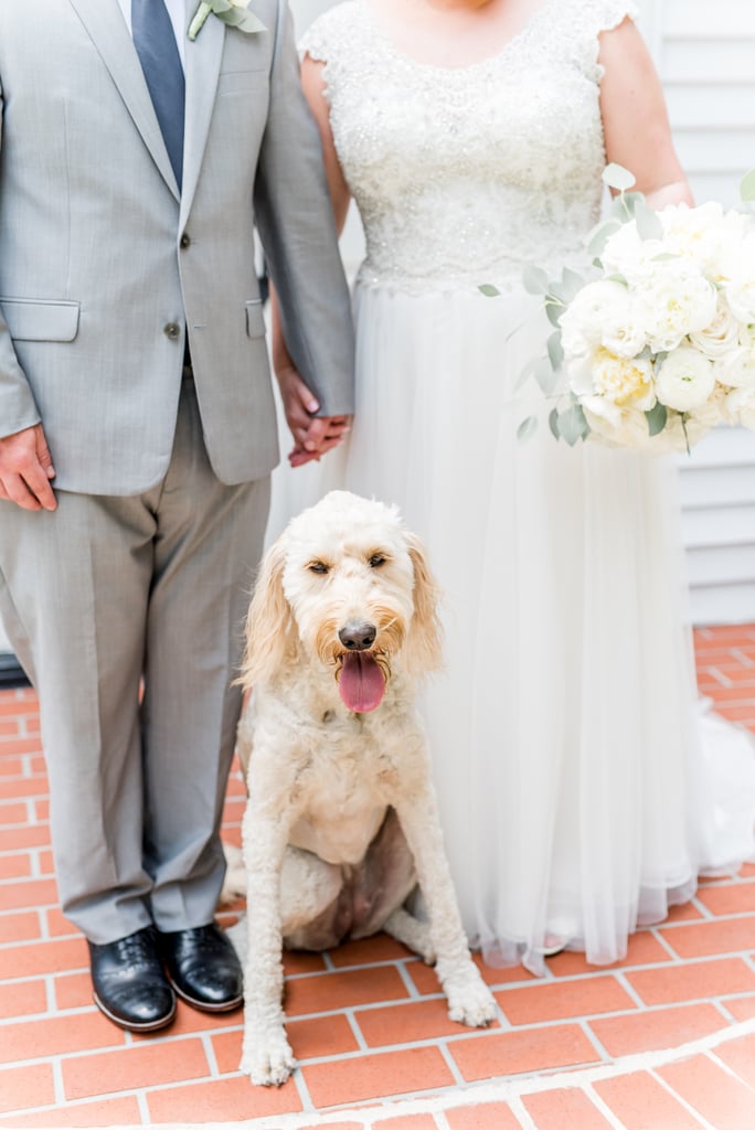 Dogs in Weddings