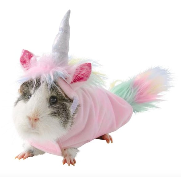 Thrills & Chills Small Pet Costume — Unicorn Guinea Pig Halloween