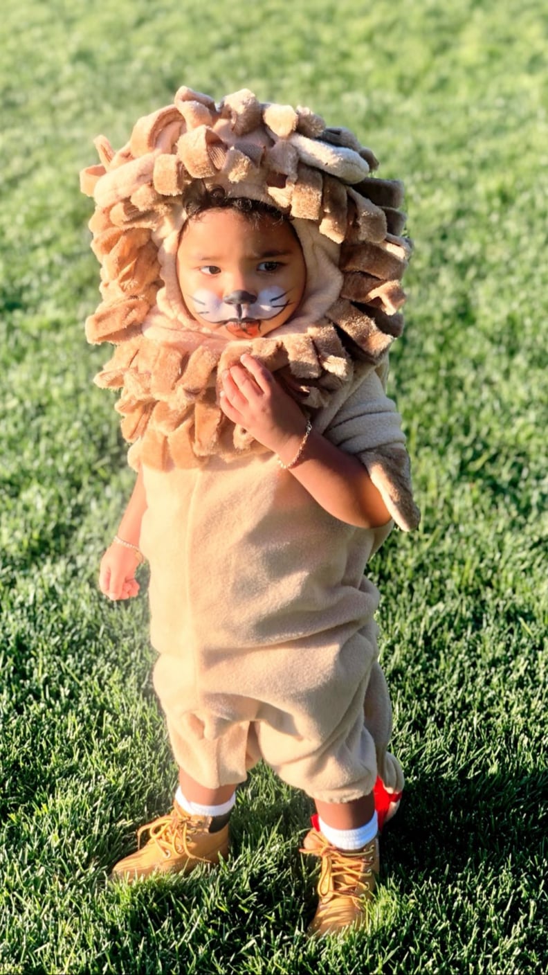 True Thompson's Lion Halloween Costume