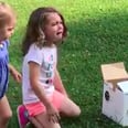 Toddler Throws a Tantrum So Typical After Finding Out Her Sibling's Gender