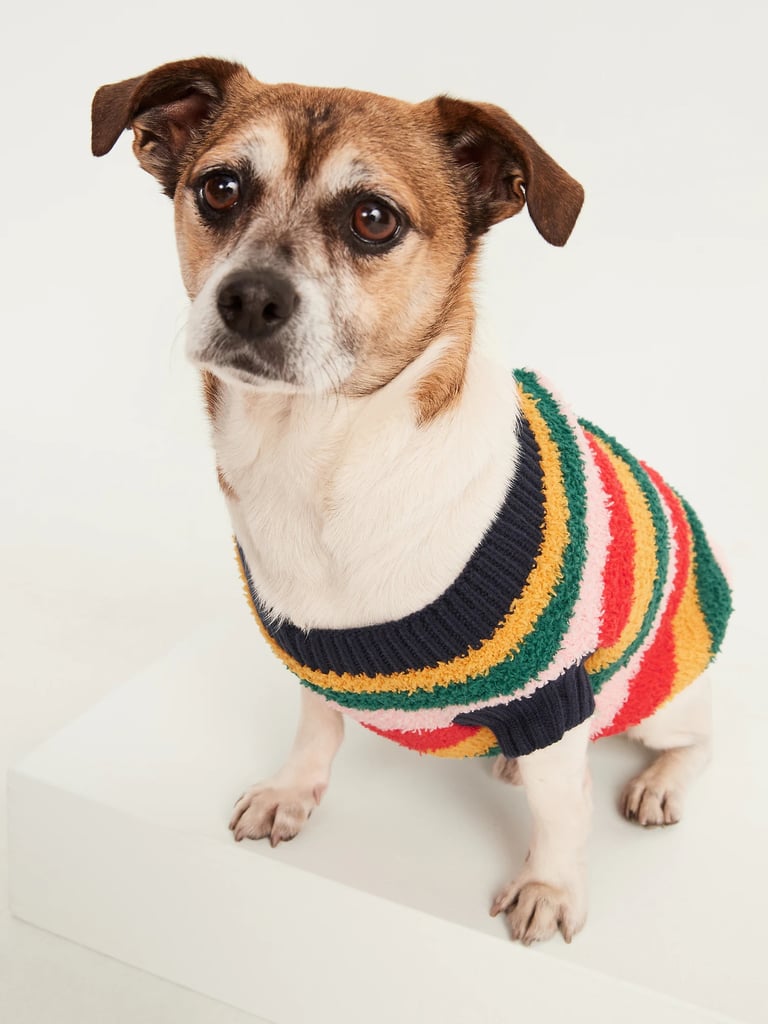 Old Navy CozyKnit Patterned Sweater in Rainbow Old Navy Dog Clothes