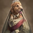This Artist Creates the Most Regal Portraits Starring Your Furry Friends