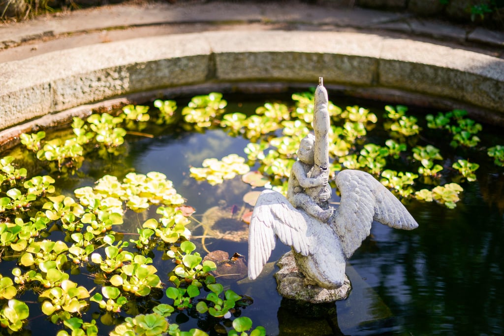 Rustic Boston Wedding in a French Garden
