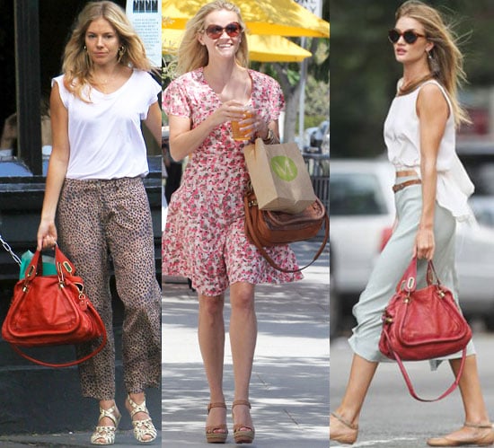 celebrity's fashion of chloe bags