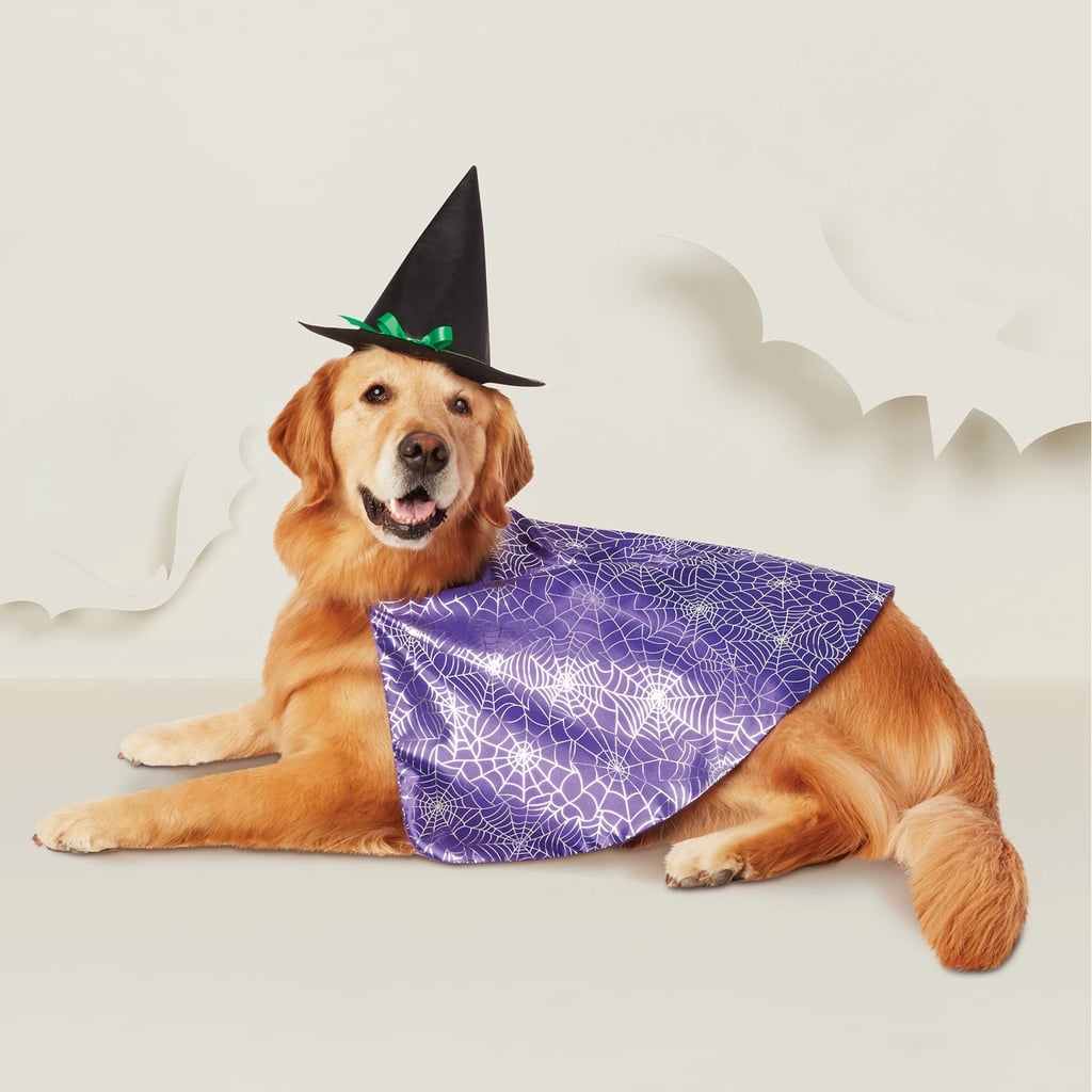 Witch Dog Costume Best Target Pet Halloween Costumes 2018 POPSUGAR
