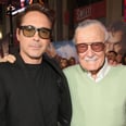 The Marvel Family Reacts to Stan Lee's Death With an Outpouring of Love