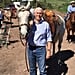Mike Pence Tweet About Horses