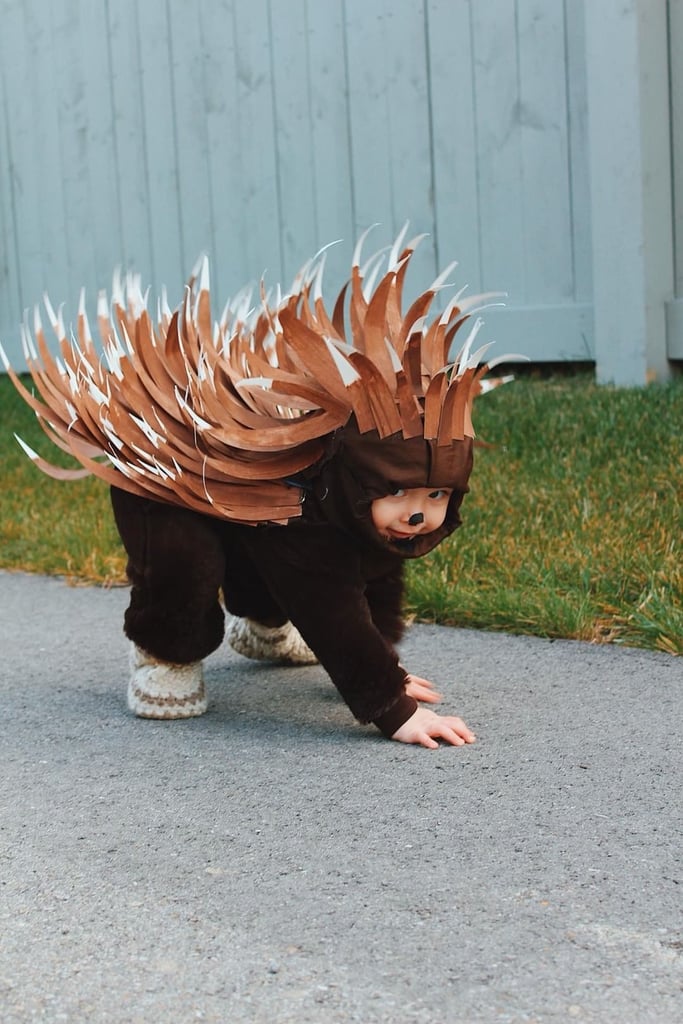 DIY Toddler Porcupine Costume For Less Than 5 POPSUGAR Family Photo 2