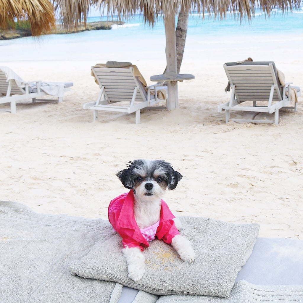 And staff definitely gave me the DIVA TREATMENT.