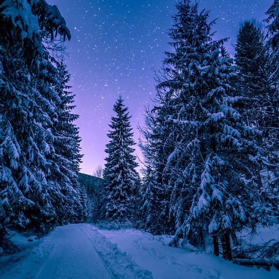 15+ Beautiful Photos of Winter