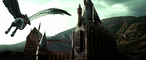 Harry Potter and the Forbidden Journey