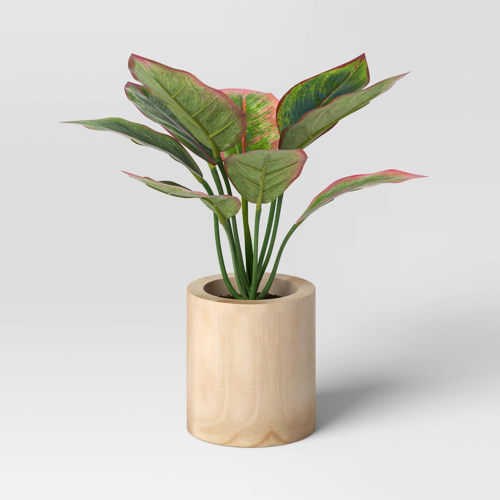 A Fresh Touch: Threshold Evergreen Leaf Wood Potted Plant