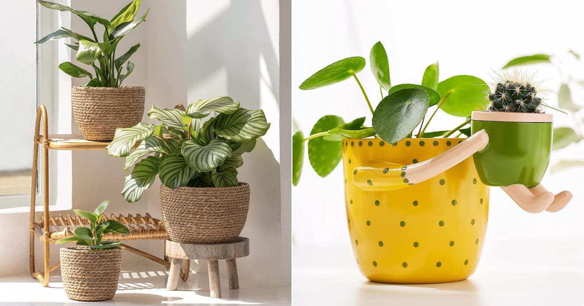 Best Indoor Pots and Planters | POPSUGAR Home