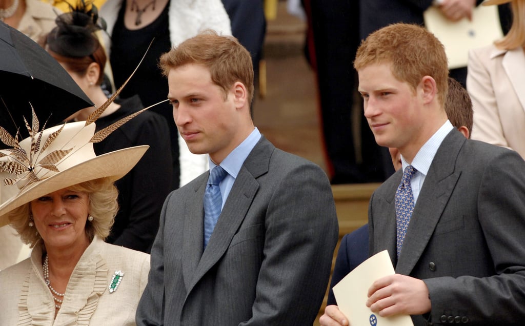 Camilla Parker Bowles Sacrificed Prince Harry, Prince William to the Press to Improve Her Reputation