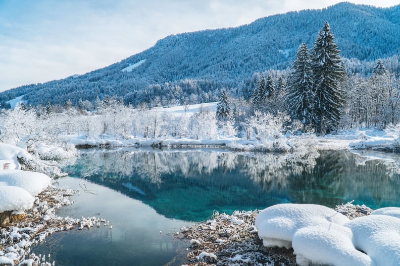 Holiday Zoom Background: Snowy Landscape