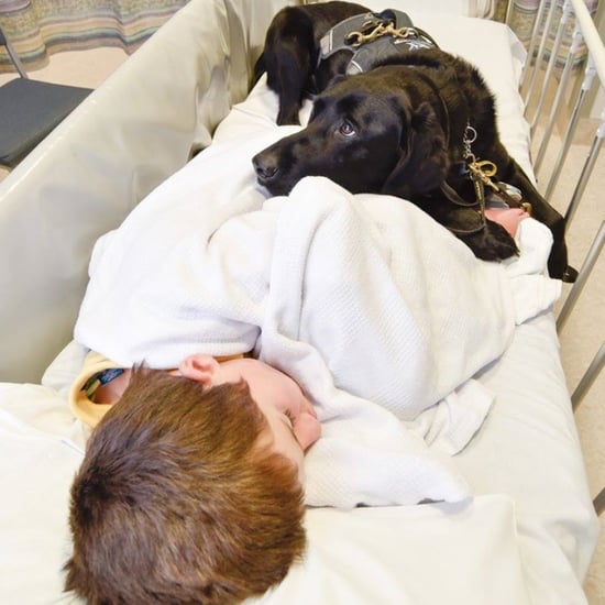 Autistic Boy's Service Dog Stays in Bed With Him at Hospital