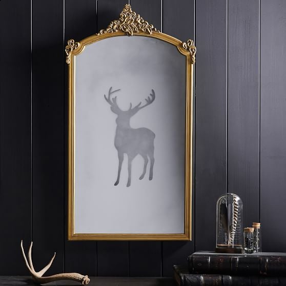 Harry Potter Patronus Mirror