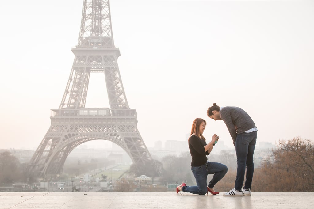 Eiffel Tower Proposal