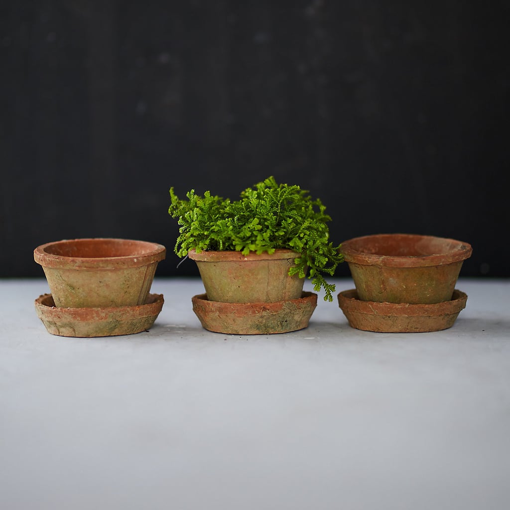 Earth Fired Clay Thin Rim Pot and Saucer