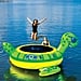 Sam's Club Inflatable Duck and Turtle Trampolines