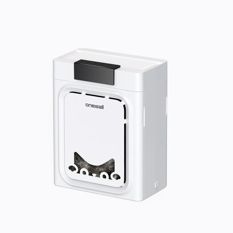 Best Humidifier Deal