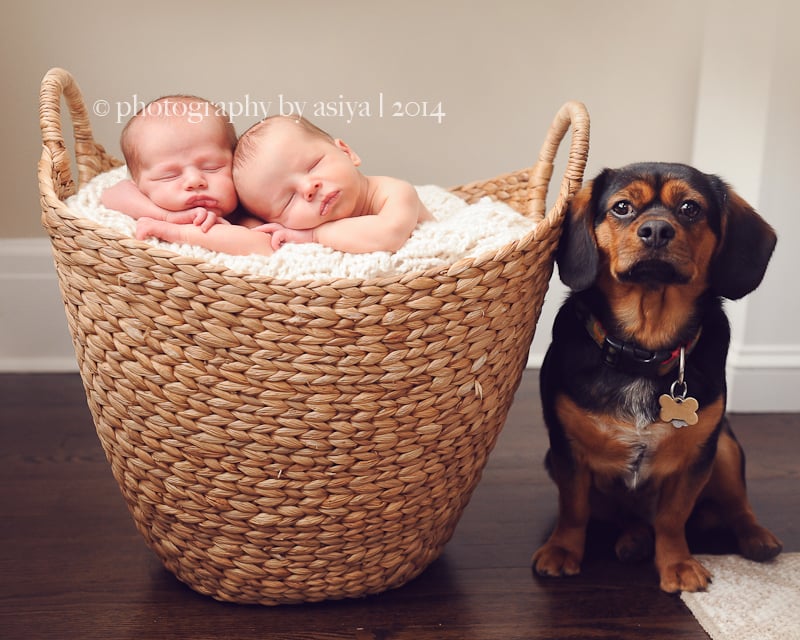 Newborn Twin Photo Ideas | POPSUGAR Family Photo 11