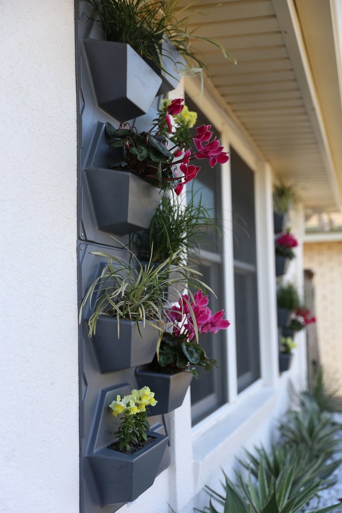 The final curb appeal element is planter shutters. Monica hung these pieces of vertical garden ($69) beside the windows in lieu of traditional shutters and filled them with on-theme plants, completing the Palm Springs exterior makeover.