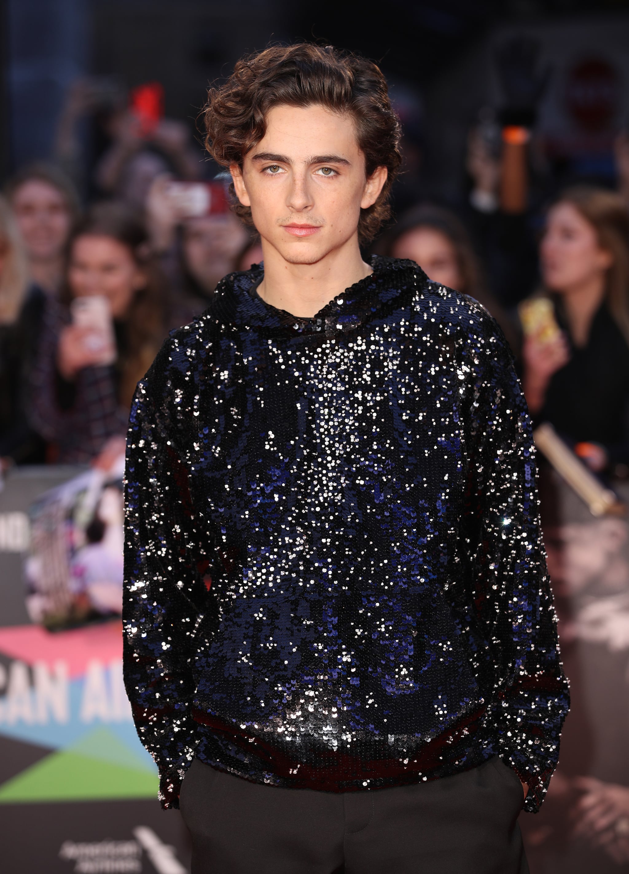Timothée Chalamet Shakes up the Red Carpet with a High-Fashion Hoodie