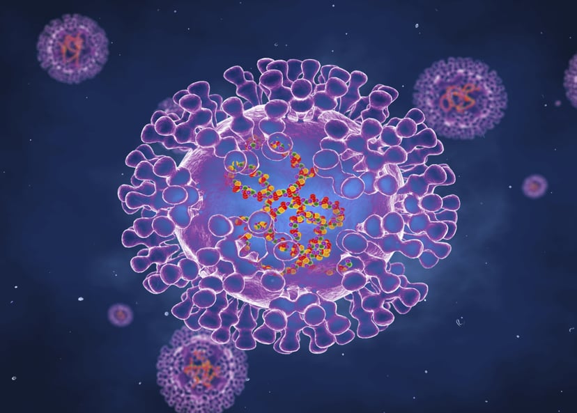Pox virus, illustration. Pox viruses are oval shaped and have double-strand DNA. There are many types of Pox virus including Chickenpox, Monkeypox and Smallpox. Smallpox was eradicated in the 1970's. Infection occurs because of contact with contaminated a