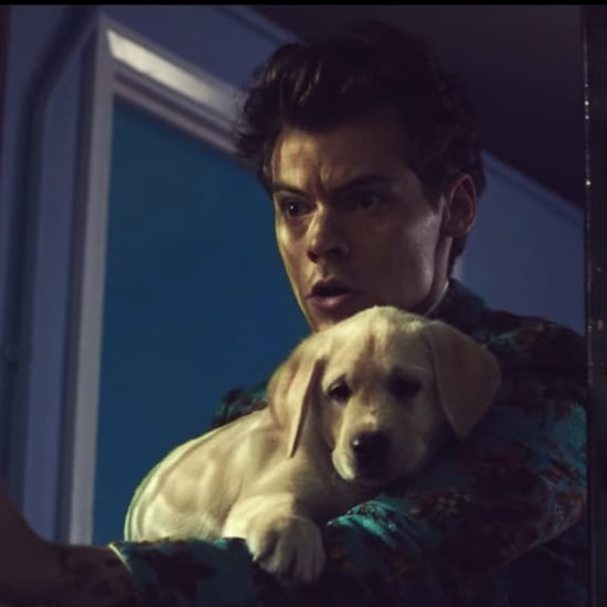 Harry Styles "Kiwi" Music Video