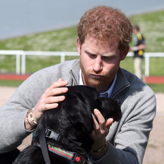 Prince Harry and Meghan Markle at Wedding in Jamaica 2017 POPSUGAR