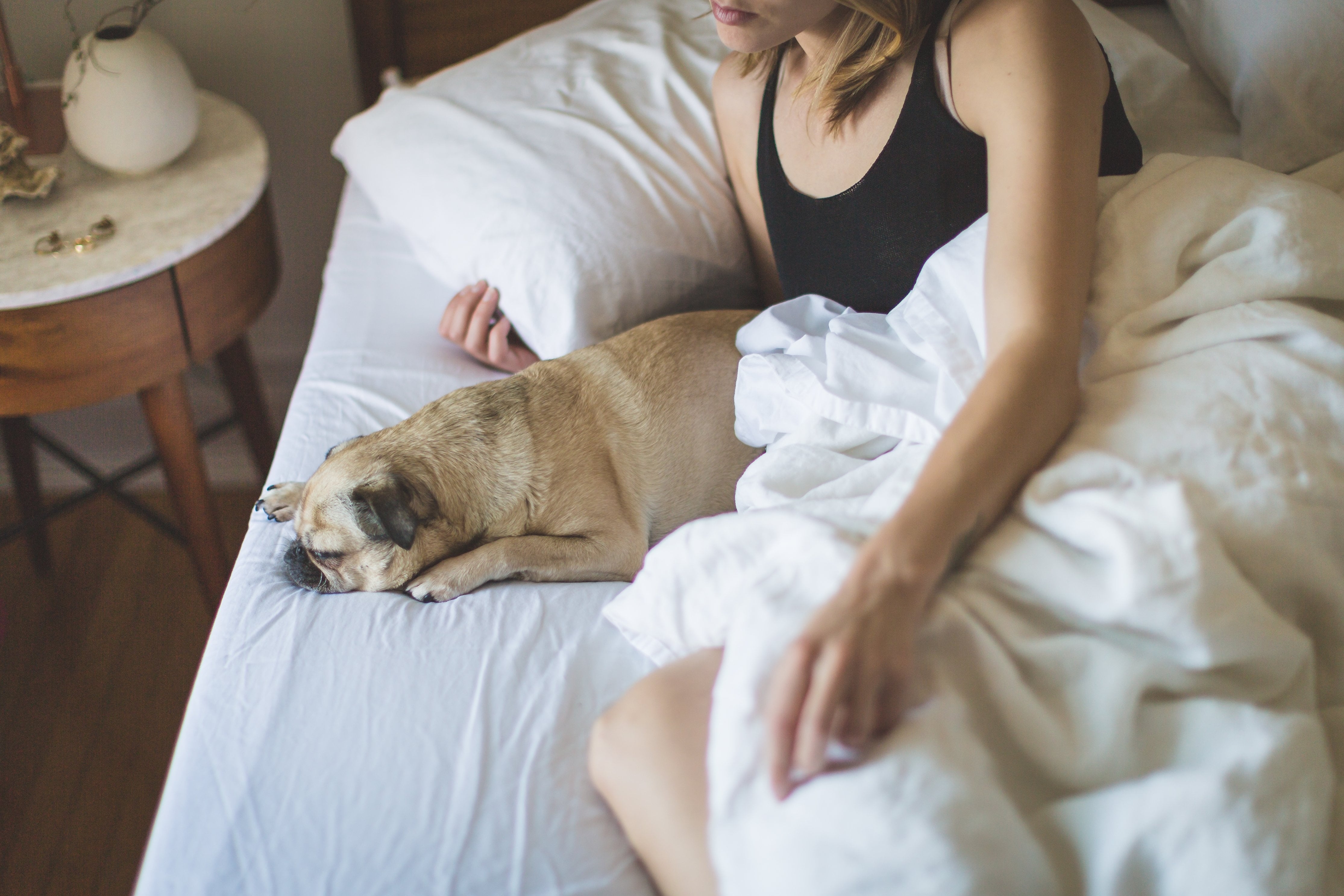 How to Build the Coziest Bed of Your Life POPSUGAR Home