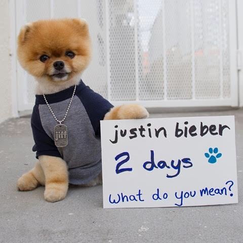 Jiffpom