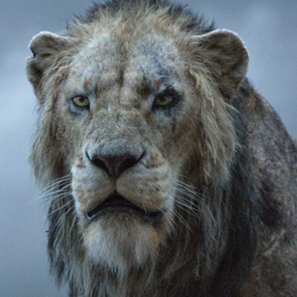Lion King Cartoon And Live Action Cast Side By Side Photos Popsugar Entertainment