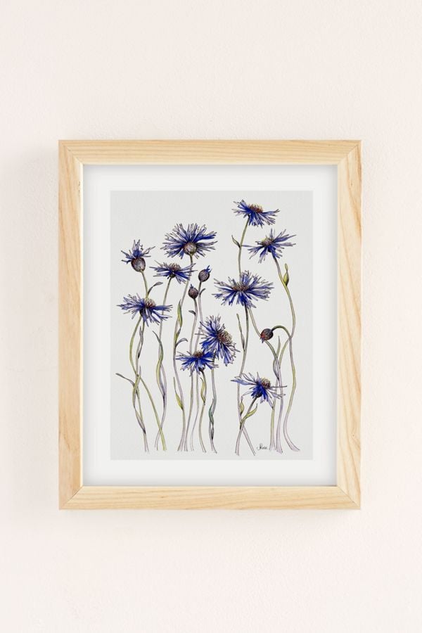Blue Cornflowers Art Print