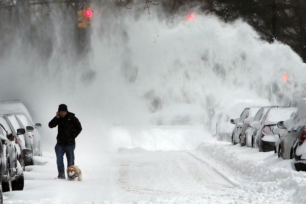 A man and his dog braved chilly temperatures and blowing snow in Brooklyn after eight inches fell in the NYC borough.