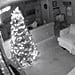Video | Elf on the Shelf Caught on Security Camera