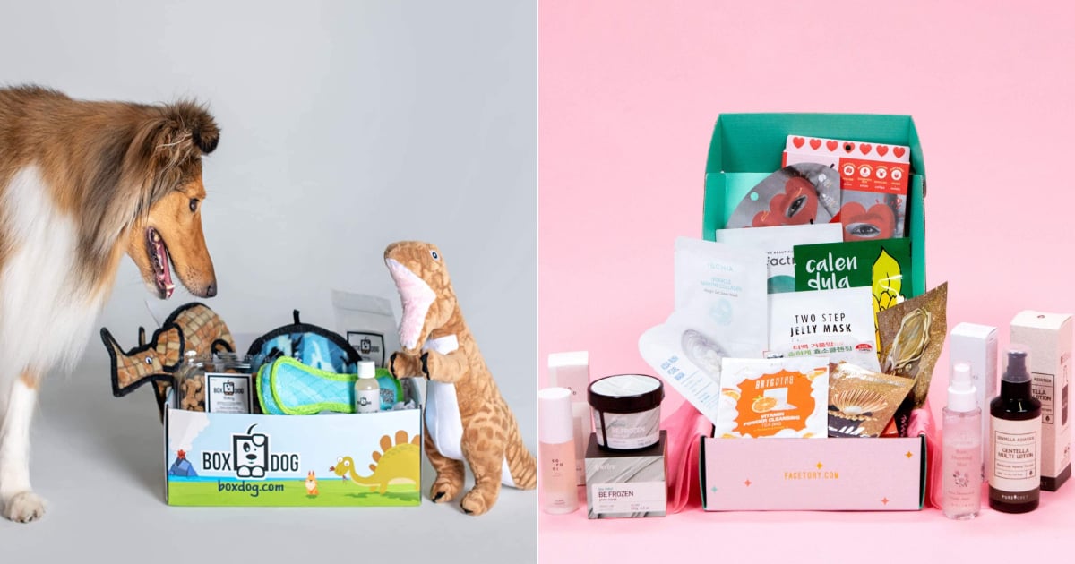 Pet subscription boxes canada store