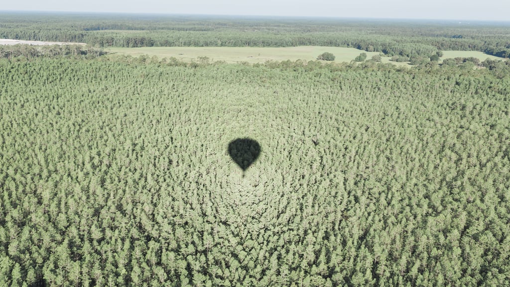 Hot Air Balloon Elopement
