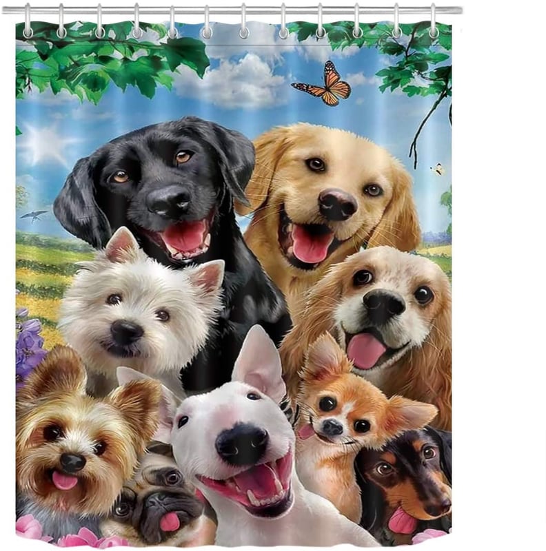 Because Dogs Are the Best