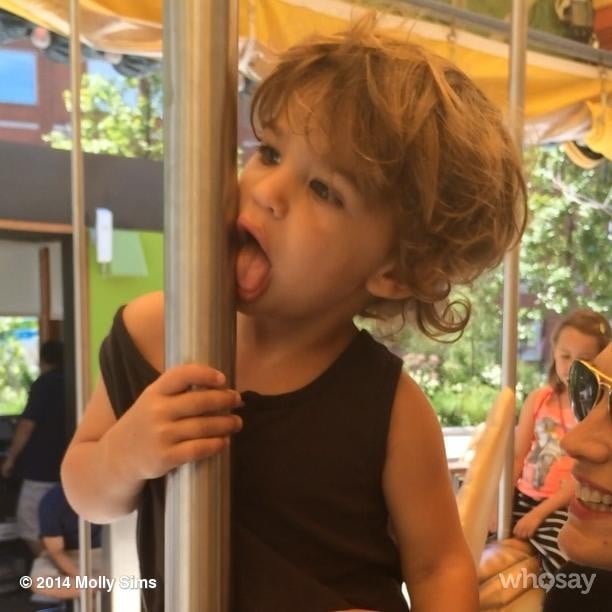 Molly Sims wasn't too happy to find her son, Brooks, licking the carousel pole.
Source: Instagram user mollybsims