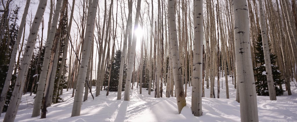 Most Beautiful Christmas Destinations