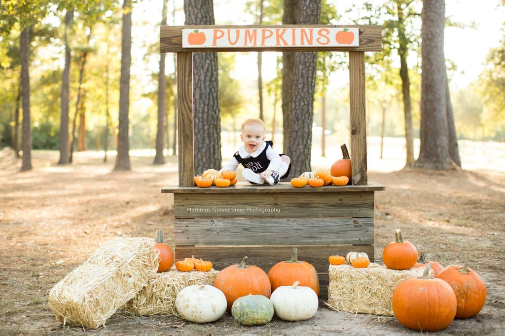 Have a Pumpkin Patch Day