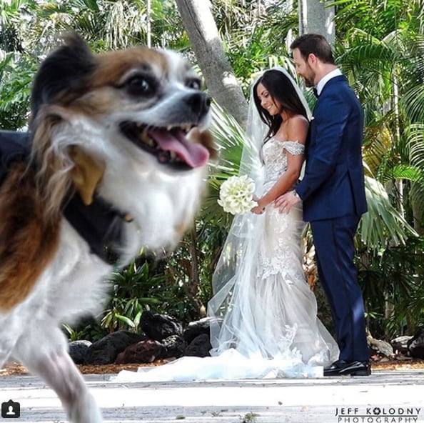 "Whoops! Were you trying to get a photo of the bride and groom?!"