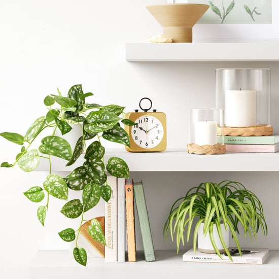Best Fake Plants From Target 2022