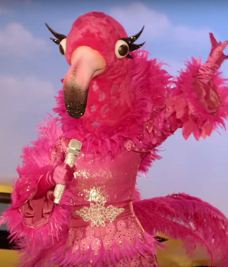 The Flamingo Who Is on the Masked Singer Season 2? POPSUGAR