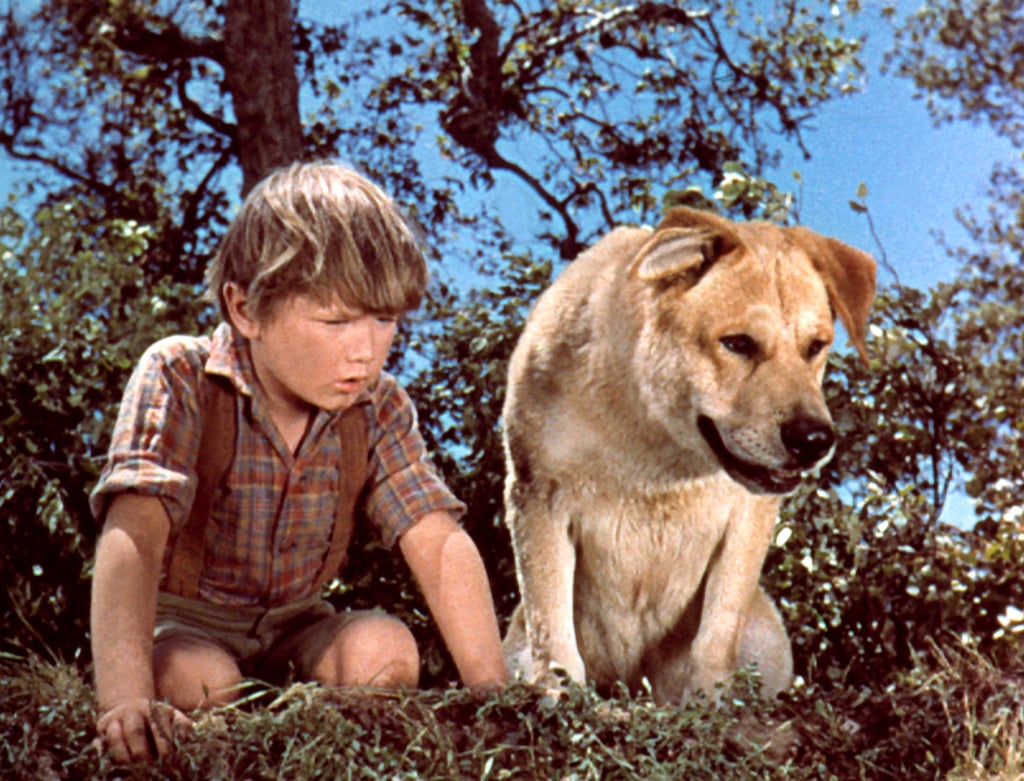 Old Yeller (1957)